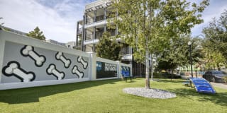 NoHo Flats Gallery 15