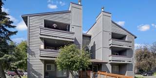 Russian Jack Gallery 14