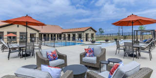 Ryze at Sunfield Gallery 7