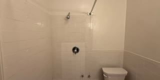 New King Edward Gallery 317