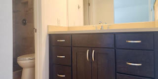 5151 Walnut Gallery 17