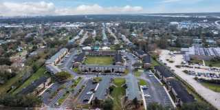 Sea Oats Sea Oats Gallery 17