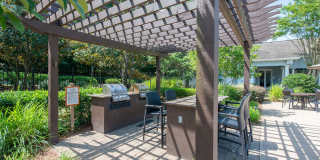 Cortland Duluth Gallery 12