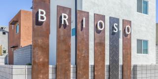 Brioso at the Bridges Gallery 39