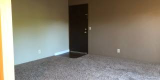 Hillgrove Creek Gallery 12