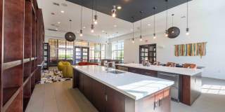 Alvista Round Rock Gallery 24