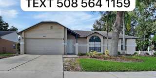 11403 Andy Dr Gallery 1