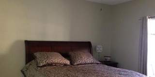 Aparment for rent Gallery 6