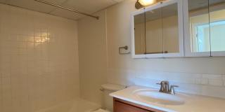 Graduate and Professional Gallery 142