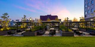 The Noble Gallery 18