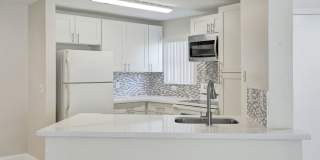 Fully Renovated Corner 2/1 Unit Gallery 17