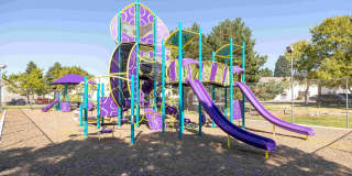 Elk Ridge Gallery 19