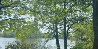 2126 Kimball Circle Gallery 31