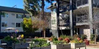 Miracle Terrace - Senior & Affordable Housing Gallery 4