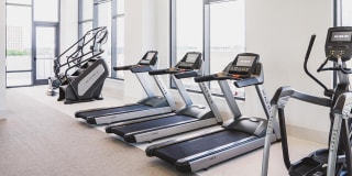 Mondrian on Lake Eola Gallery 29