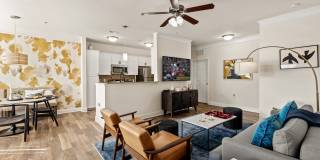 Arwen Vista Gallery 1