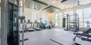 Isla Palmetto Gallery 5