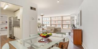 110 East Delaware Place Gallery 10