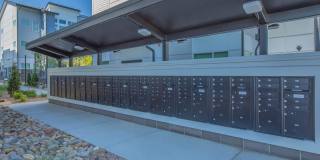 Proximo at Pena Station Gallery 44