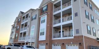 5333 PALOMINO Court 5333 PALOMINO Court Gallery 4
