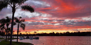 27795 Rota Gallery 1