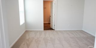 391 Coconut Drive Gallery 33