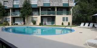 LOVE POOL LIFE? Gallery 1