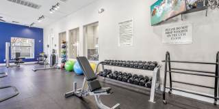 Altessa Gallery 16