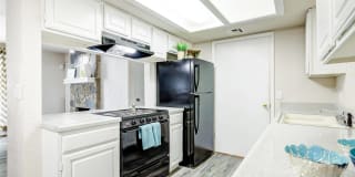 Windrush Apartments Gallery 11