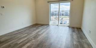 NEW Pet Friendly 1 bed/ 1 bath apartment! Gallery 1