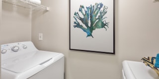 Onyx Winter Park Gallery 24