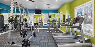 Addison Crater Woods Gallery 19