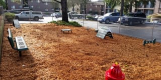 Linden Highlands Gallery 19