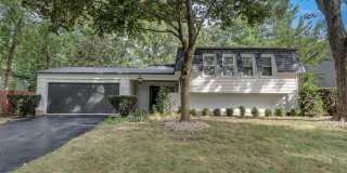 308 Pacific Drive Gallery 1