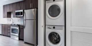 The Dalton Gallery 12