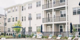 Woodlands Creekside Gallery 15