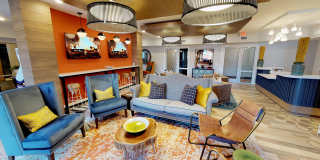 Student Housing - Luxe Belle Gallery 2