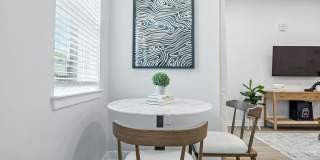 The Stella Gallery 4