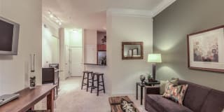 The Circle at Hermann Park Gallery 6