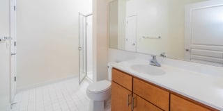 Mosaic at Metro Gallery 51