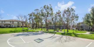 Camino Real Gallery 30