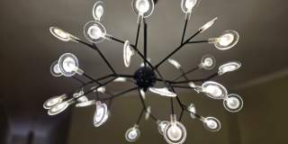 Perfect Apt: Modern, Sunny & Spacious!  Apt in The Perfect Location near BU Campus with Heat and Hot Water Included Gallery 7