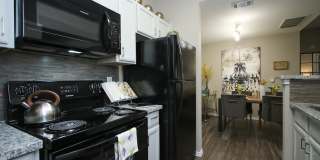 Hollow Tree Park Gallery 19