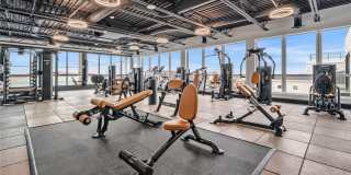 Royal Blue Gallery 7