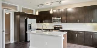 COLE COLE Gallery 26