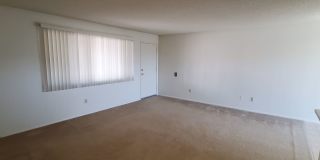 N450-456 Gallery 6