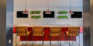 The Griff - Student Housing Gallery 7