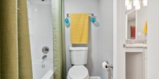 Buena Vista Gallery 33