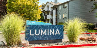Lumina Apartments Gallery 1