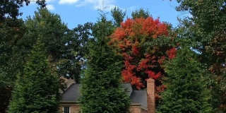11928 SHAGBARK Drive Gallery 18